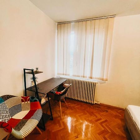 Ultracentral Big Apartment - Near The Opera Square P17 Timişoara Eksteriør billede