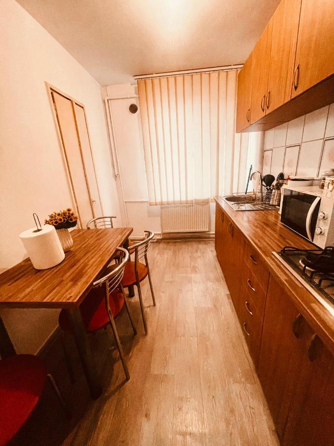 Ultracentral Big Apartment - Near The Opera Square P17 Timişoara Eksteriør billede