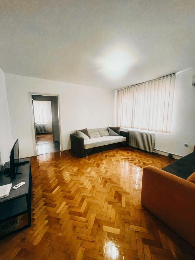 Ultracentral Big Apartment - Near The Opera Square P17 Timişoara Eksteriør billede