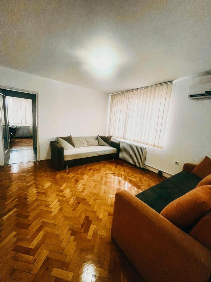 Ultracentral Big Apartment - Near The Opera Square P17 Timişoara Eksteriør billede