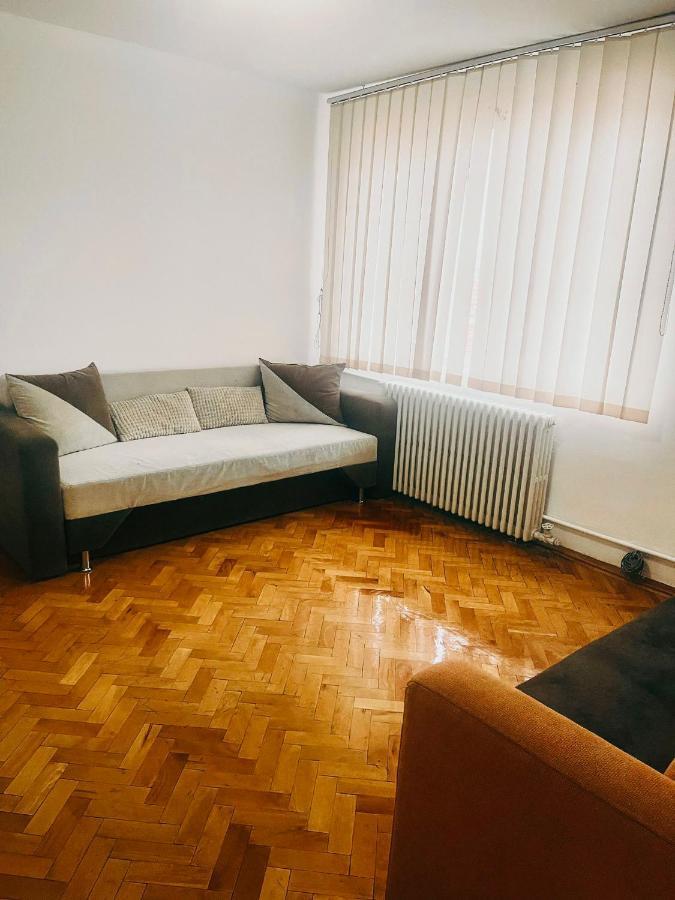 Ultracentral Big Apartment - Near The Opera Square P17 Timişoara Eksteriør billede