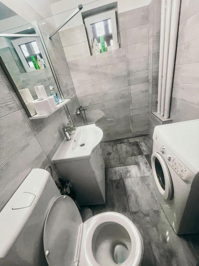 Ultracentral Big Apartment - Near The Opera Square P17 Timişoara Eksteriør billede