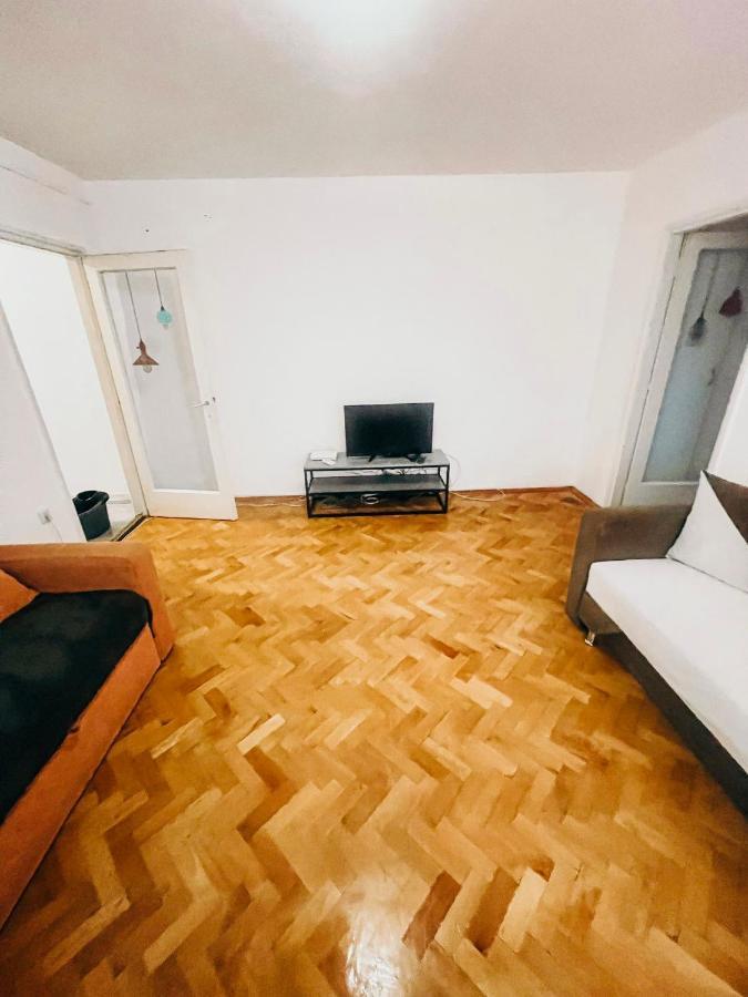 Ultracentral Big Apartment - Near The Opera Square P17 Timişoara Eksteriør billede