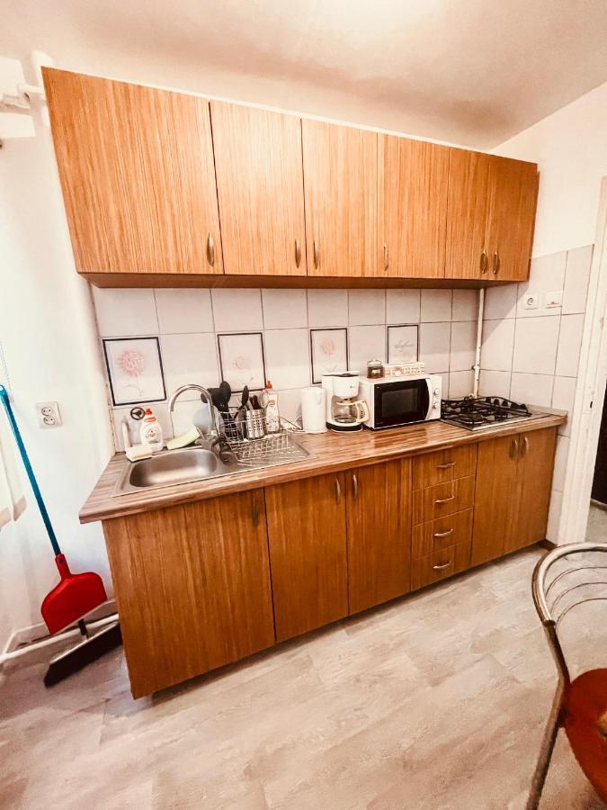Ultracentral Big Apartment - Near The Opera Square P17 Timişoara Eksteriør billede